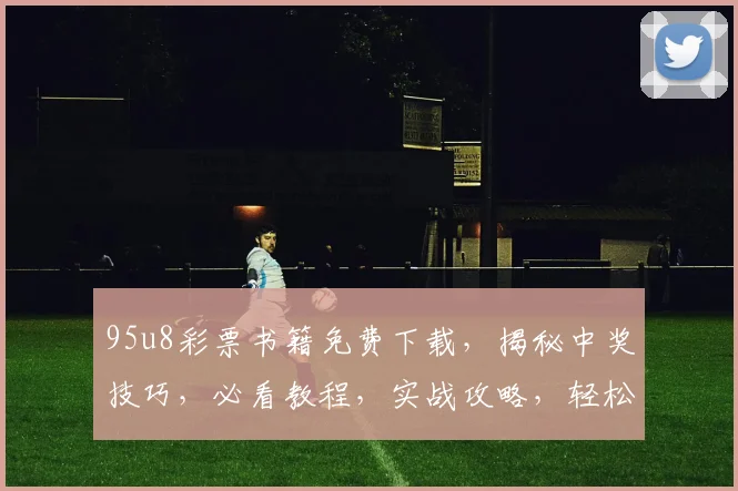 95u8彩票书籍免费下载，揭秘中奖技巧，必看教程，实战攻略，轻松中奖
