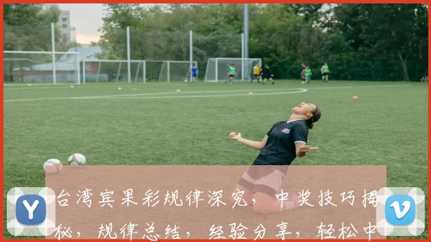 台湾宾果彩规律深究，中奖技巧揭秘，规律总结，经验分享，轻松中奖三步走，不容错过